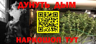 сатива Тверь