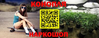 сатива Тверь