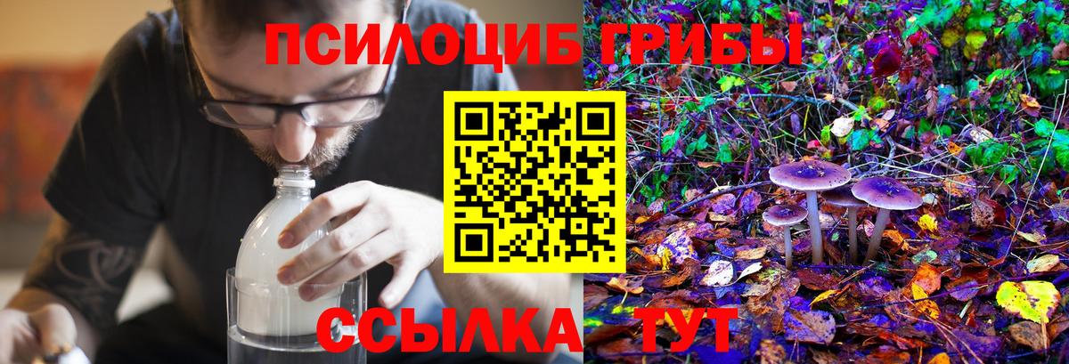 Галлюциногенные грибы мицелий Новоалтайск